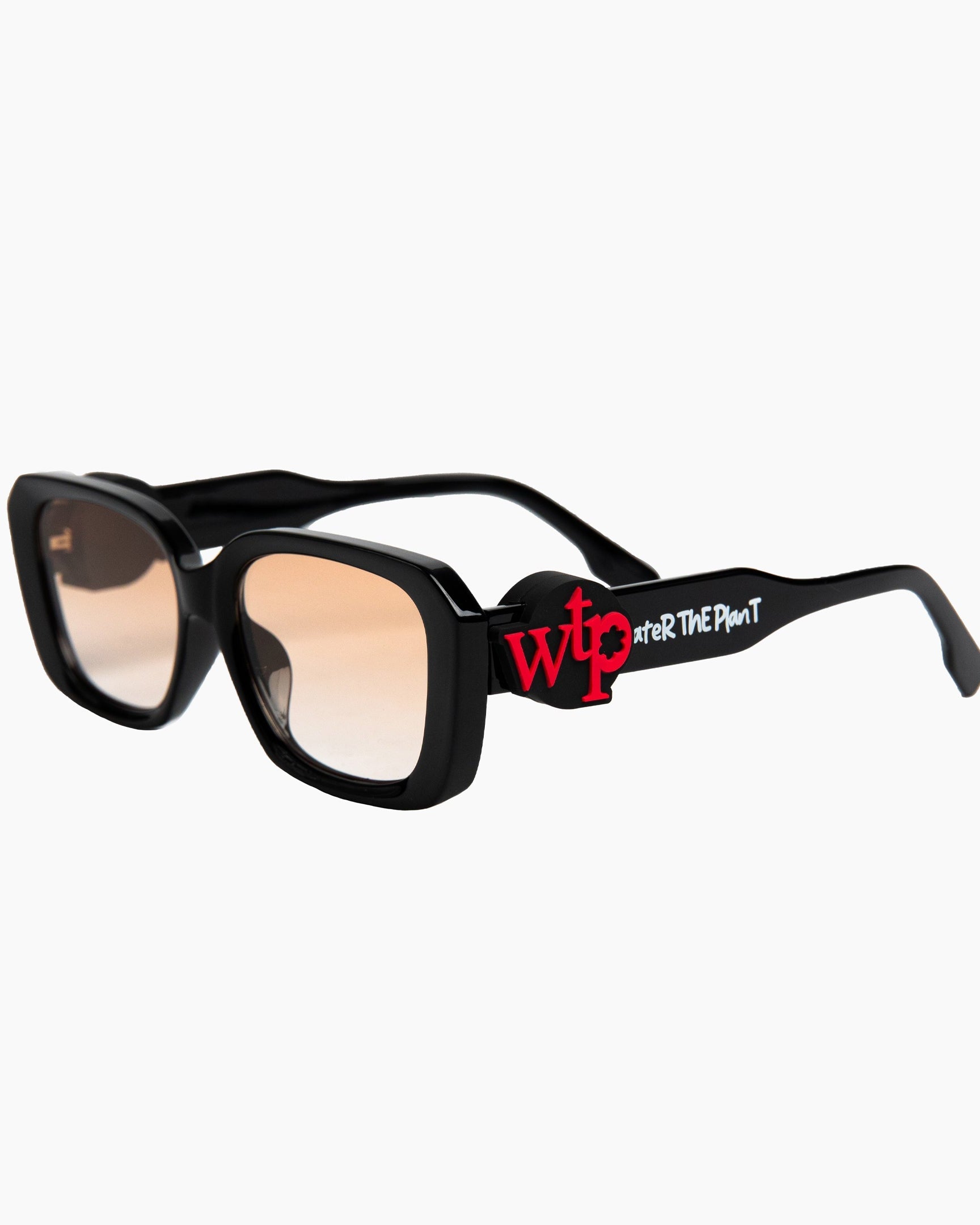 """BUBBLEGUM"" Sunnies | Black | Brown Lense"