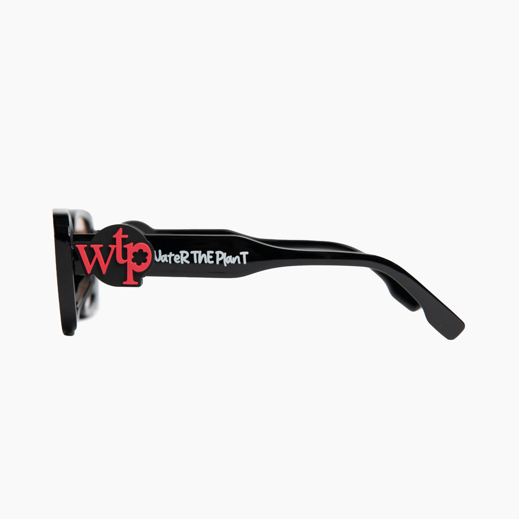 "BUBBLEGUM" Sunnies | Black | Amber Lens