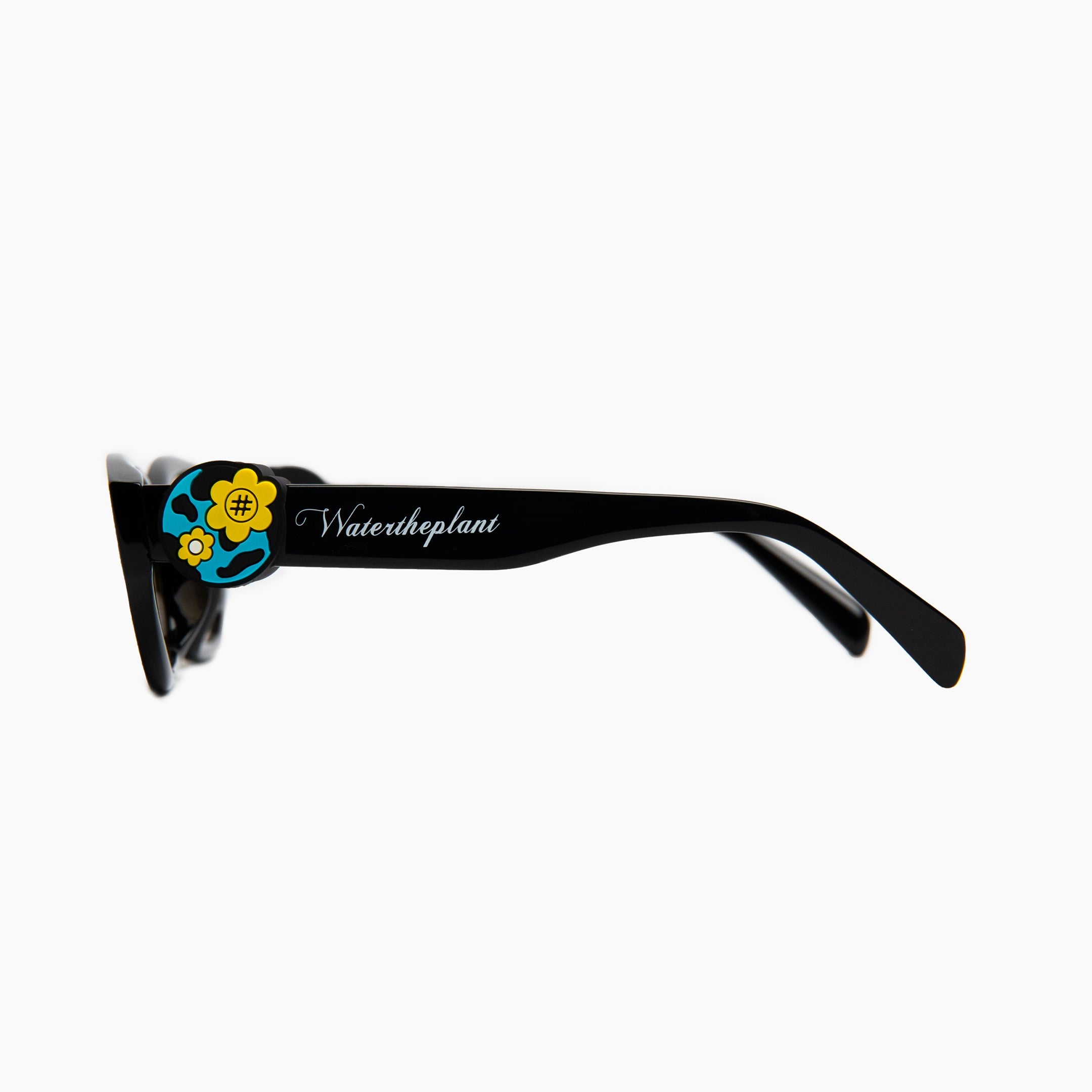 """PLANET"" Sunnies | Black | Brown Lens"