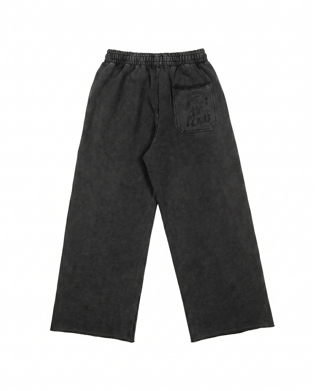 Dark gray pants with a "Water The Plant" logo pocket on a white background