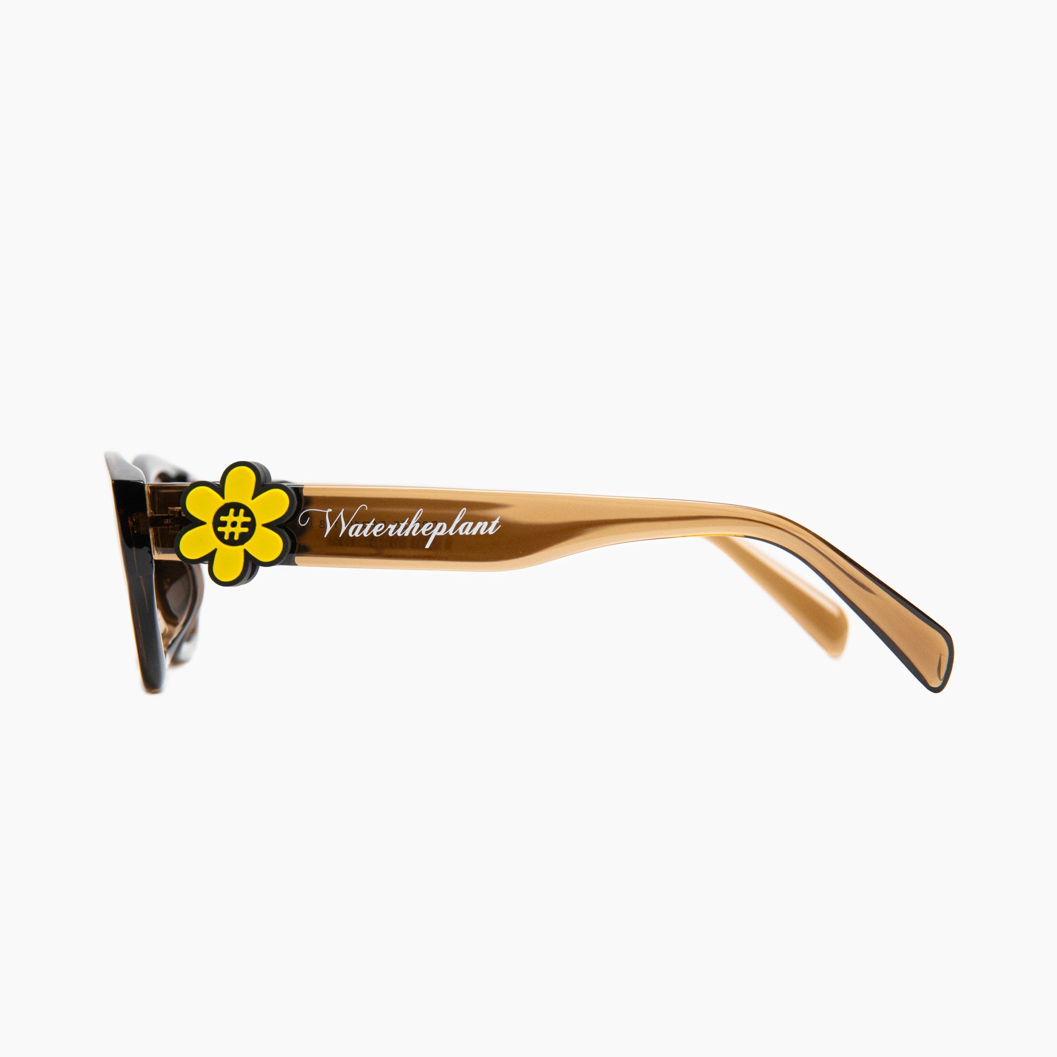 """WTPUFF"" Sunnies | Brown | Brown Lense"